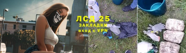 гидра Алексин