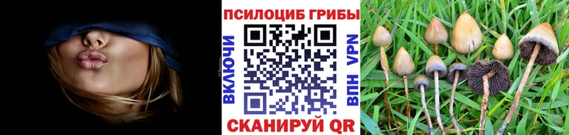 Галлюциногенные грибы Psilocybine cubensis  Феодосия 